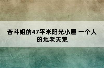 奋斗姐的47平米阳光小屋 一个人的地老天荒